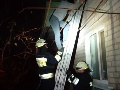 У Дніпрі рятувальники зняли з вікна другого поверху двох осіб, щоб врятувати від собаки