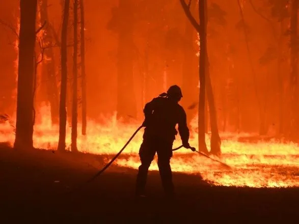 В Австралии объявили режим ЧС из-за лесных пожаров