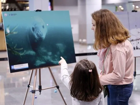 В аэропорту "Борисполь" открылась фотовыставка о жизни украицев в Антарктиде
