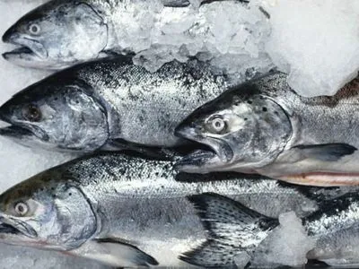 Україна цього року експортувала понад 152 тонни охолодженої риби
