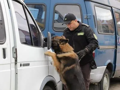 В Гостаможне рассказали, как учат служебных собак искать наркотики
