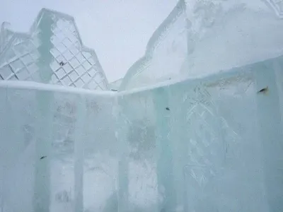 Російську Тюмень прикрасили льдовими скульптурами з мертвими рибами всередині