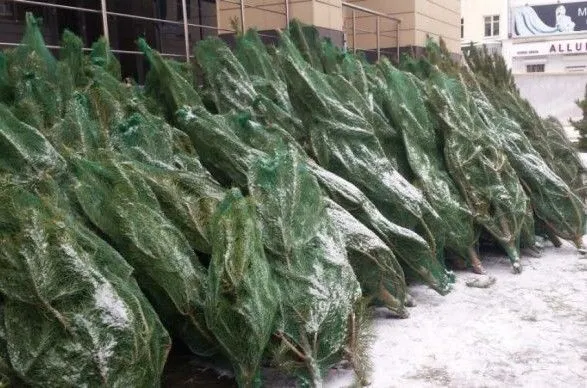 В Киеве патрули зафиксировали 19 нарушений правил торговли елками