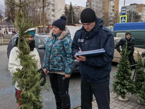 На Львівщині виявили шість фактів назаконної вирубки ялинок
