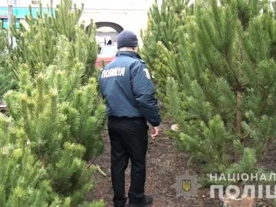 В Киеве разоблачили более 70 незаконных продавцов елок