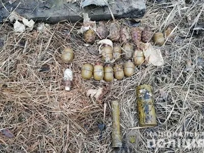 Поліцейські виявили 18 гранат, димову шашку та сигнальну ракету, що були сховані у лісосмузі