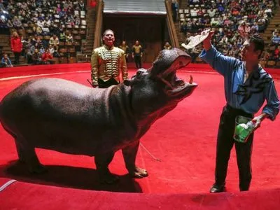 Усі державні цирки протягом року відмовляться від тварин у виставах - міністр