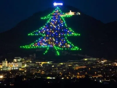 Похожая на индейку, шахматная фигура и обгоревшее дерево: новогодние елки в странах мира