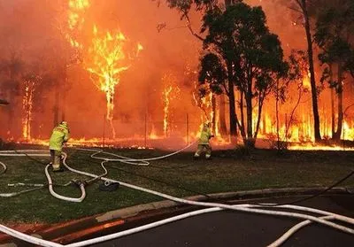 В Австралии погибли 17 человек от лесных пожаров