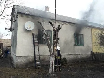 На Львівщині у пожежі згоріла новорічна ялинка