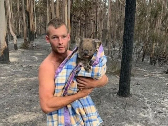 Молодой житель Австралии спас десятки коал на фоне бушующих пожаров