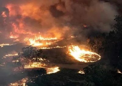 Лесные пожары в Австралии формируют погоду, что способствует распространению огня
