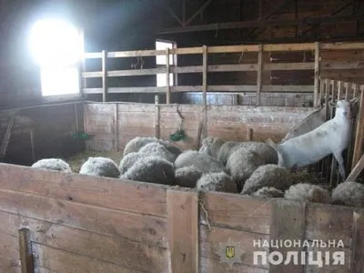 Владелец мини-зоопарка в Киевской области оставил животных без еды: полиция открыла производство