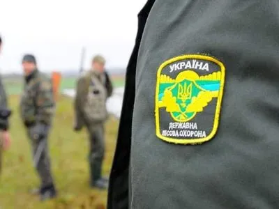 В Херсонской области "черные" лесорубы напали на работников гослесохраны: есть погибший