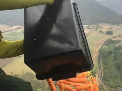 В Австралии с вертолета сбросили тысячи килограммов овощей для животных пострадавших от пожаров