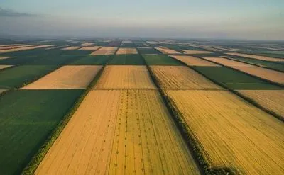 Купить землю в Украине можно будет только по безналу