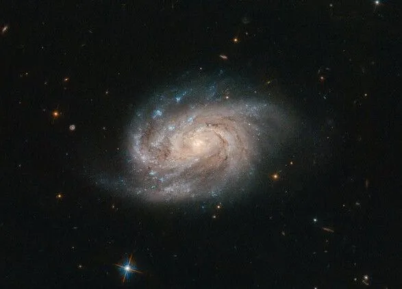 Телескоп "Хаббл" сделал снимок галактики из созвездия Живописца