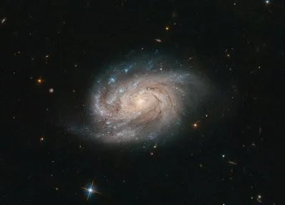 Телескоп "Хаббл" зробив знімок галактики із сузір'я Живописця