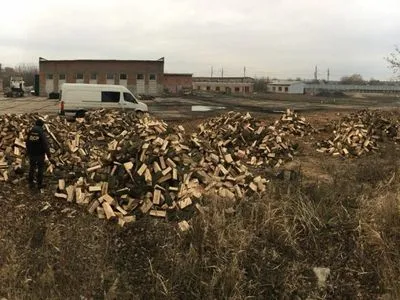 Незаконная вырубка лесов в Донецкой области нанесла ущерб государству более чем 1,3 млн гривен