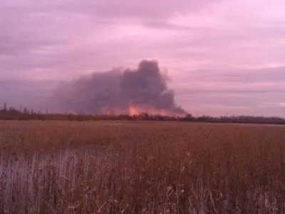 В Одесской области снова горит национальный природный парк