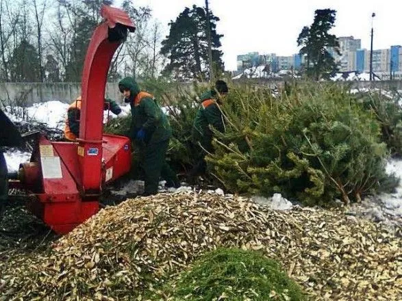С начала января киевляне сдали на утилизацию более 11 тыс. елок
