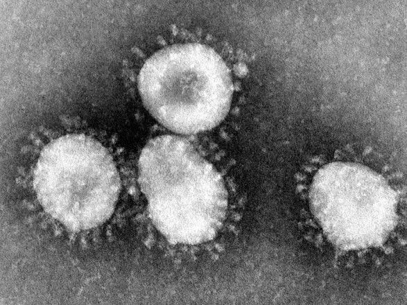analiz-novogo-koronavirusu-doslidili-na-globalnomu-rivni-vooz