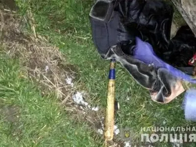 В Хмельницкой области "черные" лесорубы травмировали офицера полиции