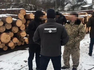 На Житомирщині викрили посадовців лісгоспу, які розкрали деревину на 3 млн грн