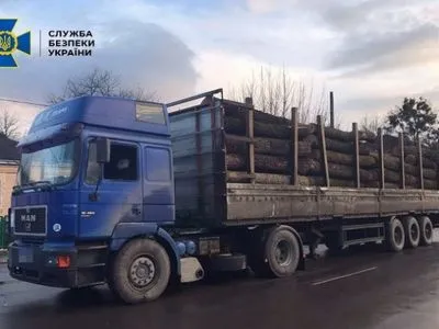На Черкащині директора лісгоспу засудили до 5 років за розкрадання деревини