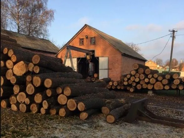 На Харківщині судитимуть 8 посадовців лісгоспу, які завдали збитків державі на близько 100 млн гривень