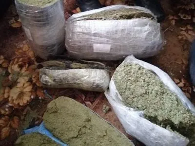 Наркоторговца, у которого изъяли 12 кг марихуаны, взят под стражу в Киеве