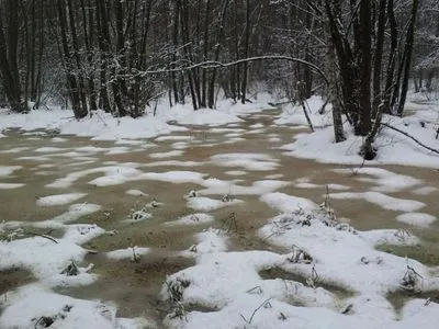 В Житомирской области женщина утонула в болоте