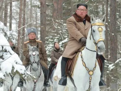 Северная Корея купила в России 12 породистых лошадей за 75 тысяч долларов
