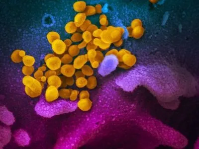 В Европе зарегистрировано 46 случаев заболевания новым коронавирусом