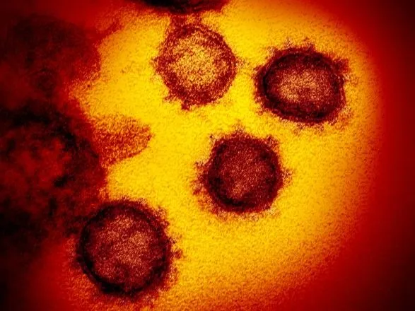 Вчені припустили, скільки часу новий коронавірус може жити на поверхнях