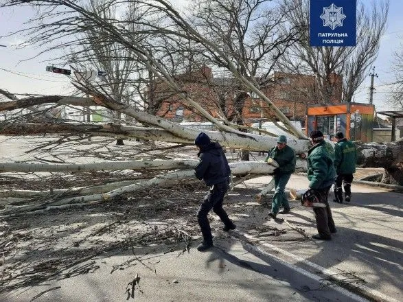 Пориви вітру та повалені дерева: якими були наслідки негоди в Україні