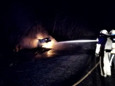 У Дніпропетровській області автомобіль з'їхав на узбіччя траси і загорівся