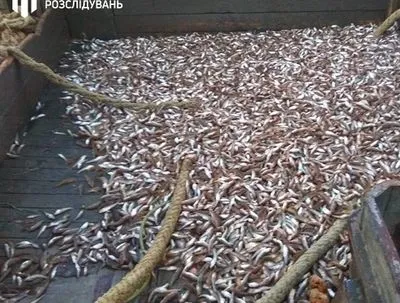 На Запоріжжі поліцейських підозрюють в організації махінацій із вилученою рибою
