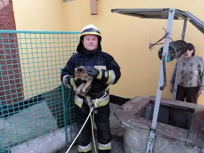 У Дніпрі рятувальники дістали кота із 6-метровго колодязя
