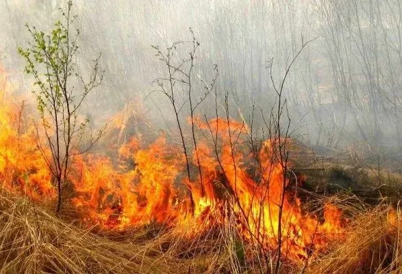 На Львівщині жінка загинула під час спалення сухої трави
