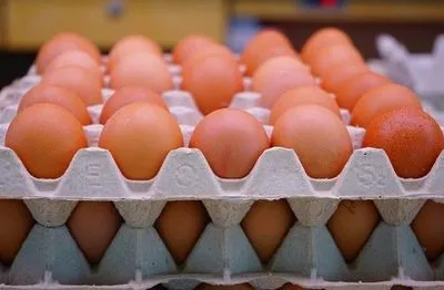 Німці "напали" на українські яйця