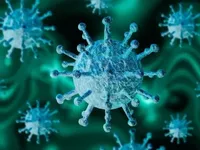 В Черниговской области первое подозрение на коронавирус: у женщины, которая вернулась из Италии