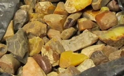 В Ровенской области группу лиц подозревают в незаконной добыче янтаря