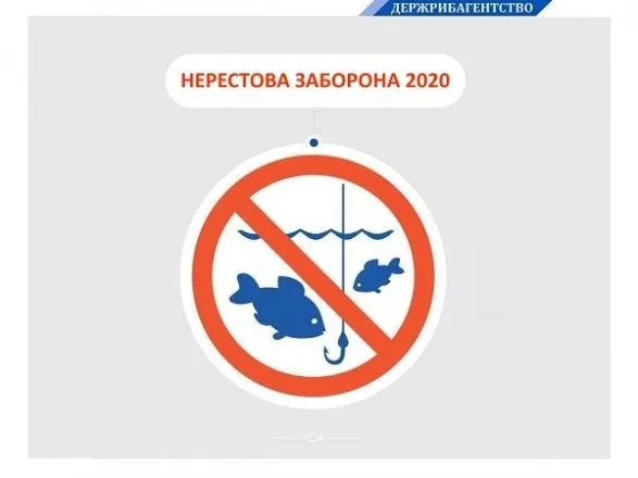 С начала апреля в Украине действует нерестовый запрет на вылов водных биоресурсов