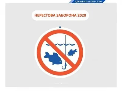З початку квітня в Україні діє нерестова заборона на вилов водних біоресурсів