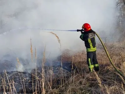 В Киеве за сутки произошло 11 природных пожаров