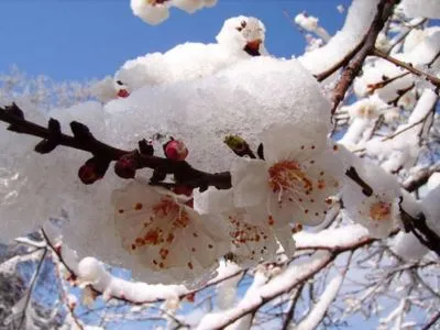 Синоптики пояснили сніг наприкінці березня