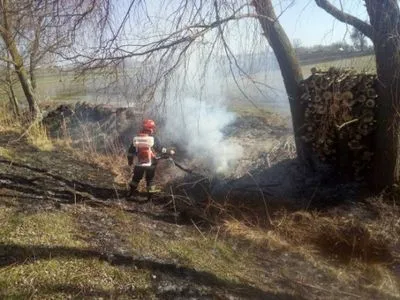 Жгли траву - сгорели здания: последствия пожара в Житомирской области