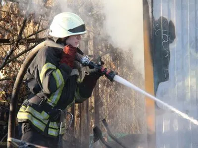В Киеве пожар травяного настила перекинулся на склад