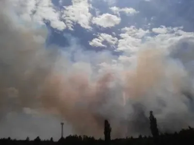 Ликвидация лесного пожара: самолет ГСЧС вылетел в Чернобыльскую зону отчуждения
